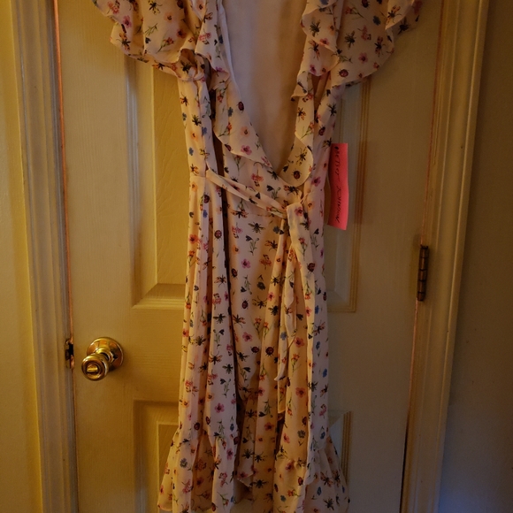 Betsey Johnson NWT sz 4 bug garden wrap dress - Picture 2 of 4